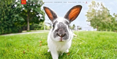 rijeka zagreb split web stranice